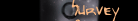 survey.gif